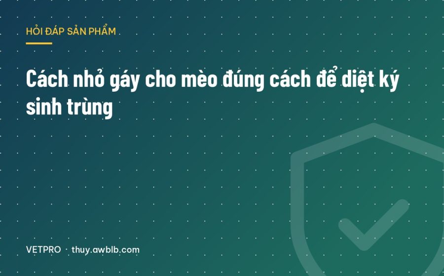 Cách nhỏ gáy cho mèo đúng cách để diệt ký sinh trùng