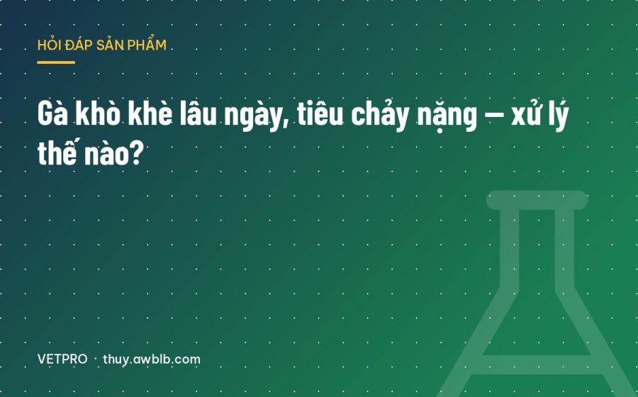 Gà khò khè lâu ngày, tiêu chảy nặng — xử lý thế nào?