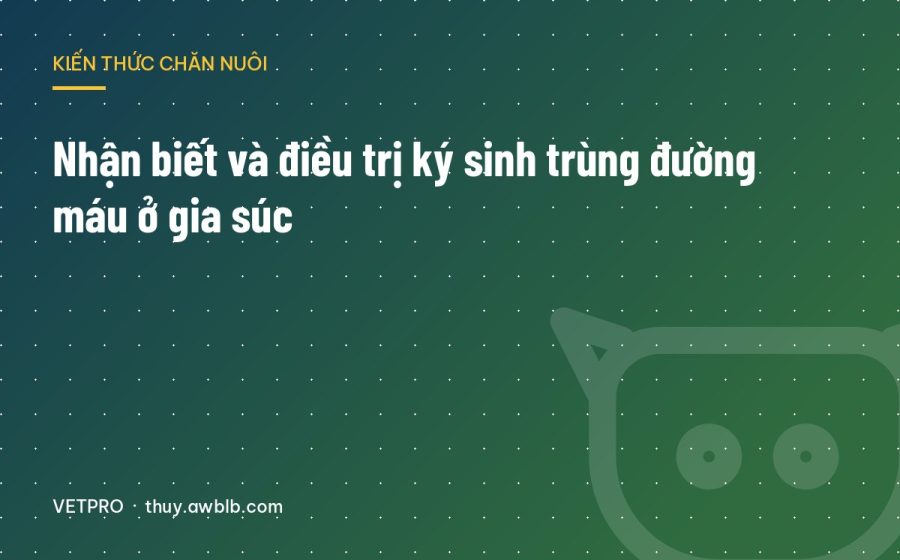 Nhận biết và điều trị ký sinh trùng đường máu ở gia súc