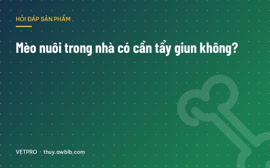 Mèo nuôi trong nhà có cần tẩy giun không?