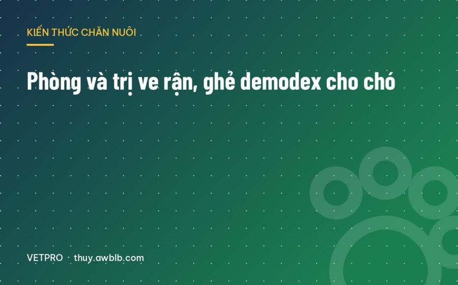 Phòng và trị ve rận, ghẻ demodex cho chó