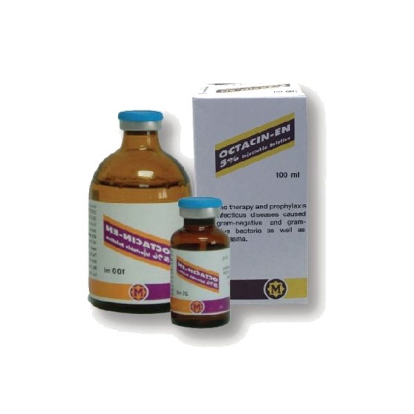OCTACIN EN 5% 20ml Kháng Sinh Tiêm