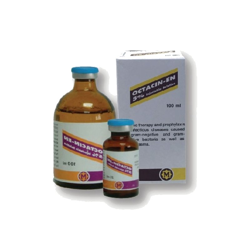OCTACIN EN 5% 20ml Kháng Sinh Tiêm