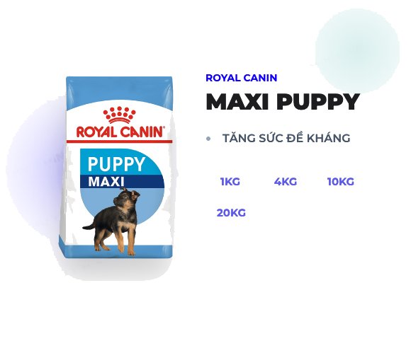 ROYAL CANIN MAXI PUPPY 1KG, 4KG, 10KG, 20KG PRO