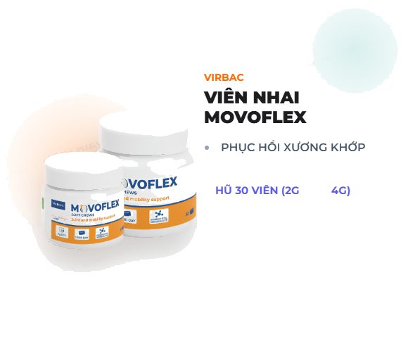 MOVOFLEX Soft Chews – Viên nhai hỗ trợ khớp cho chó